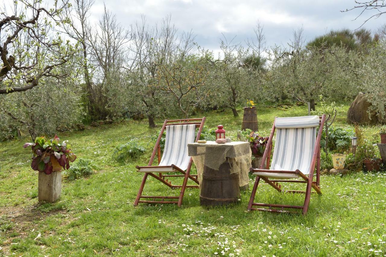 فيلا مونتيتشيلوفي Agriturismo Campo Alla Piana المظهر الخارجي الصورة